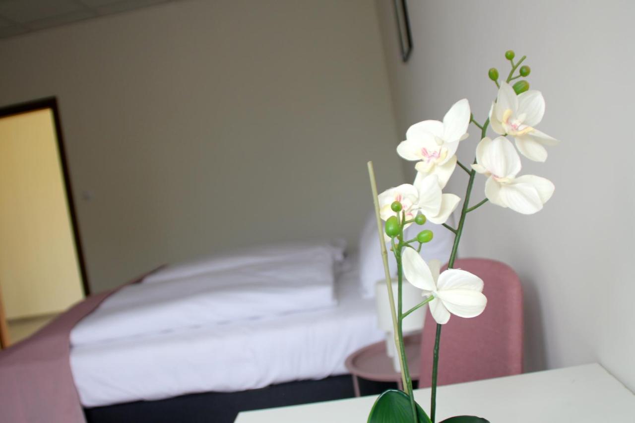 Vecsesi Rendezvenykoezpont Es Panzio Bed and Breakfast Eksteriør billede